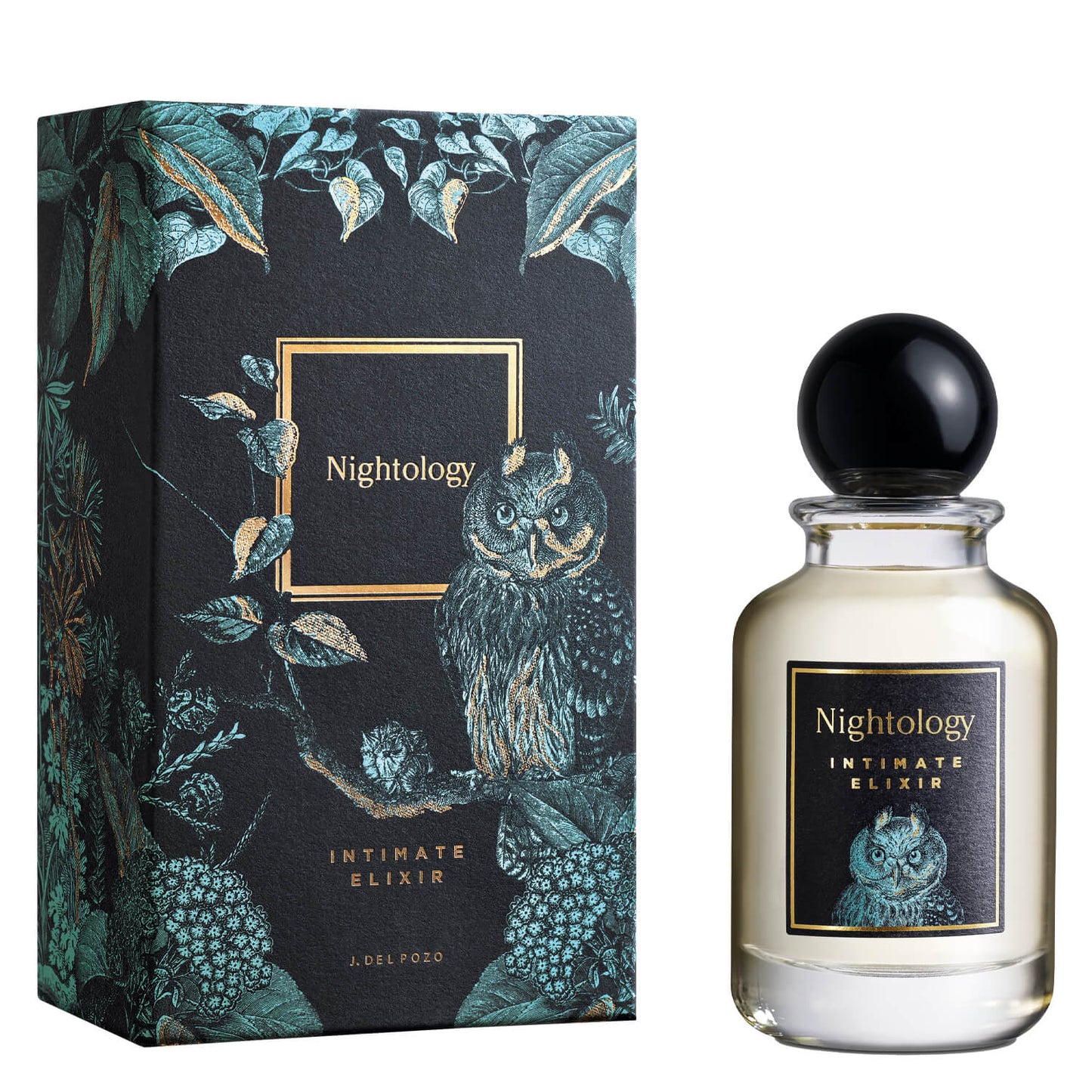 Nightology Intimate Elixir Eau de Parfum