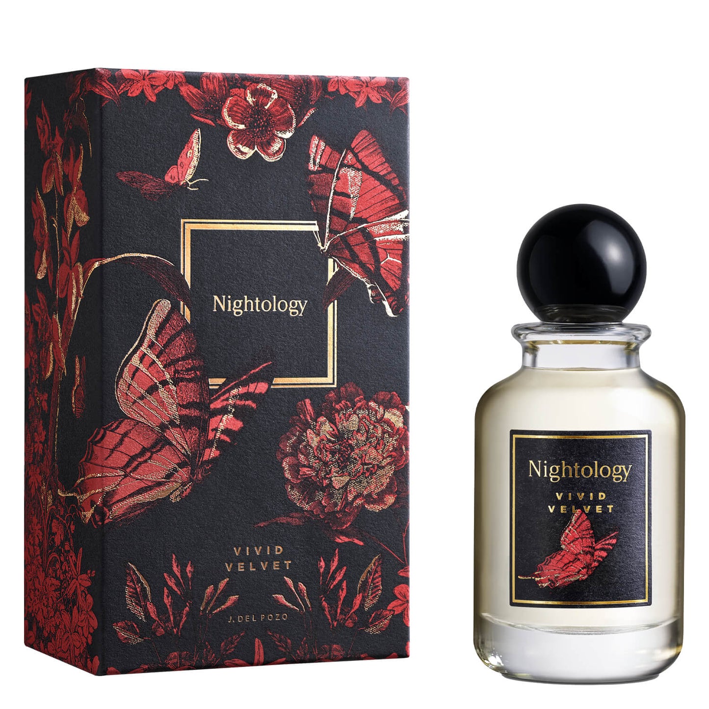 Nightology Vivid Velvet Eau de Parfum